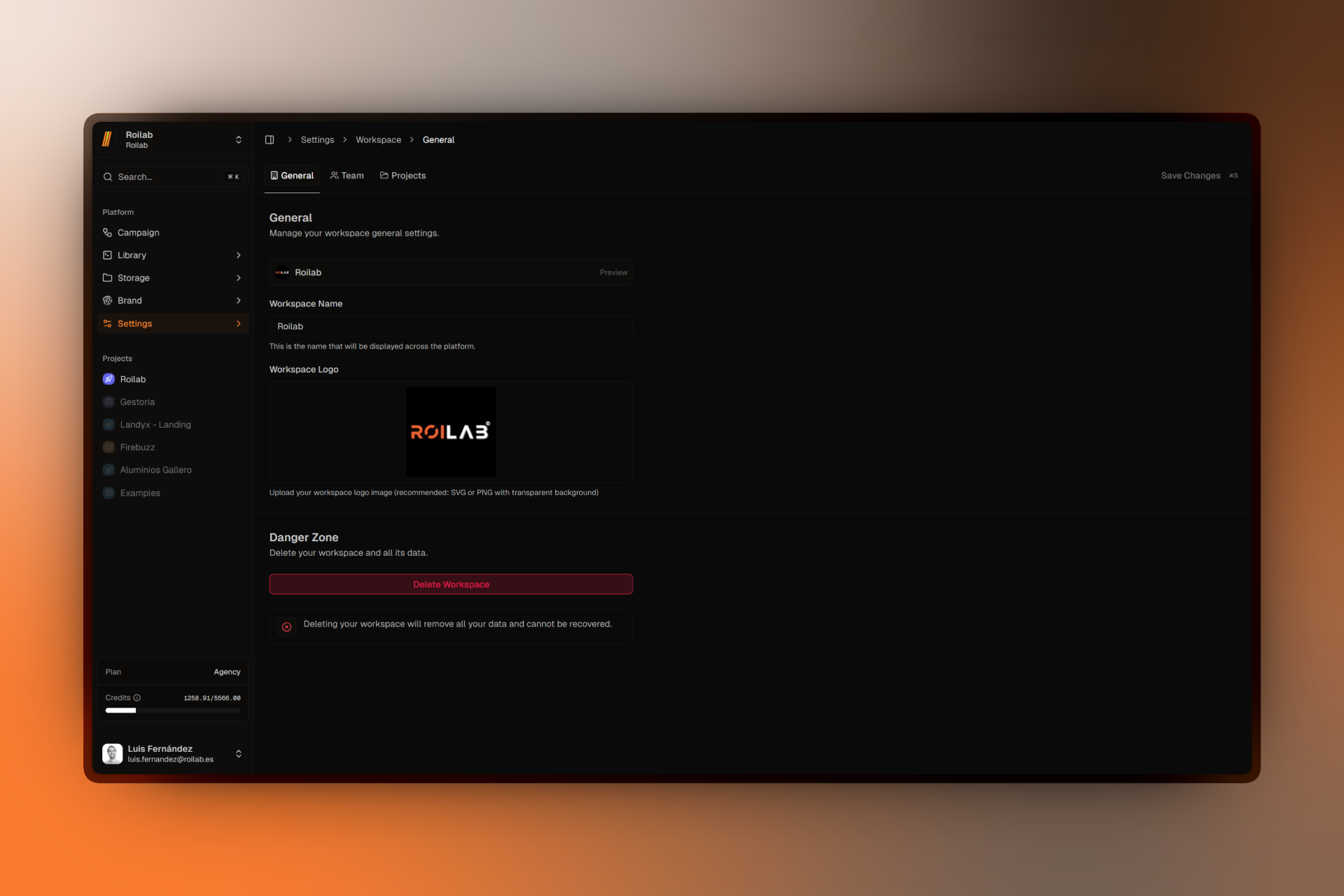 Workspace dashboard showing team members and projects